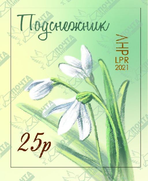 image_2021-02-03_10-23-34.png
