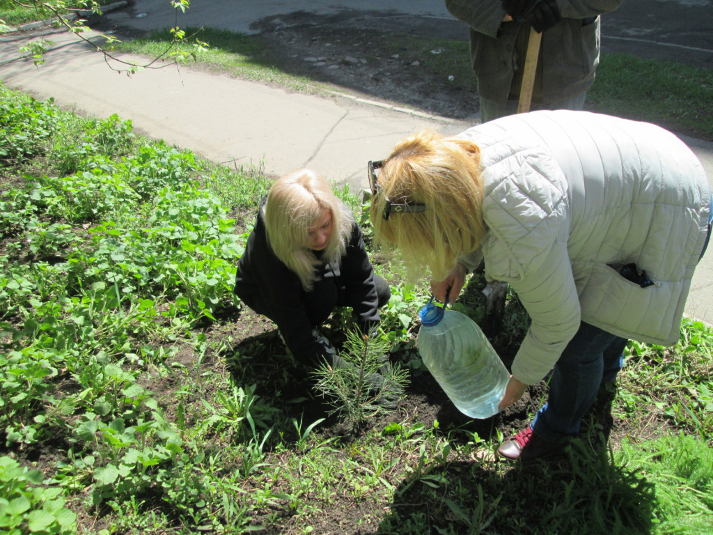 IMG_5266.JPG IMG_5266.JPG