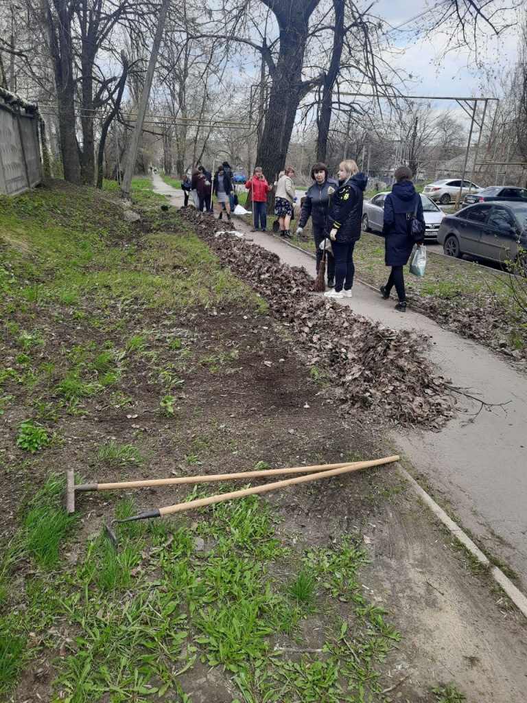 ZP-wiGmmYrQ.jpg