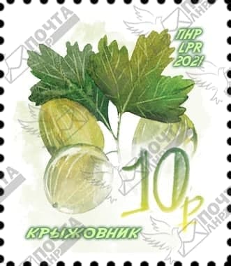 photo_2021-11-26_14-28-21 (2).jpg