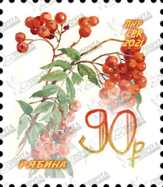 Рябина 90р.png