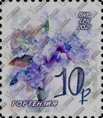 гортензия водяные.png