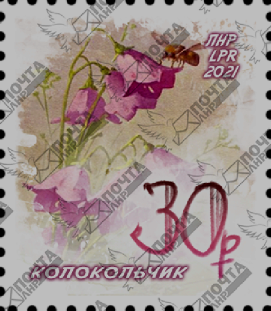 image_2021-07-20_10-23-09.png image_2021-07-20_10-23-09.png